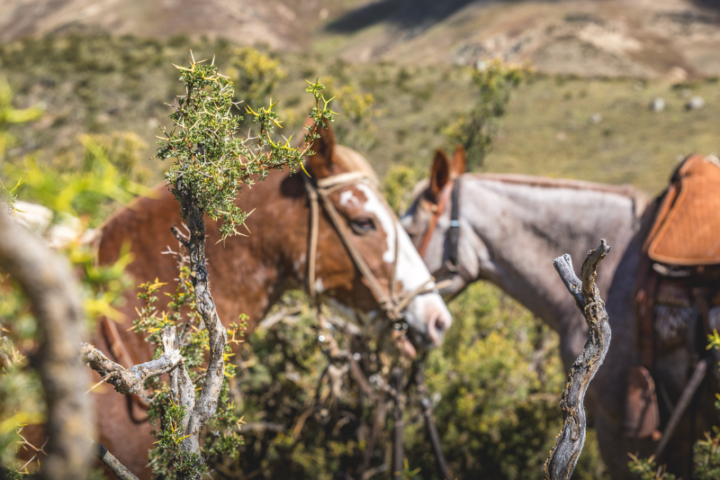 The warming hearth: Five of the best estancias in Argentina, Aracari Travel